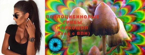 эйфоретик Аркадак