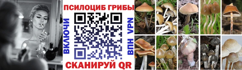 Купить закладки  Нижняя Тура  Псилоцибиновые грибы прущие грибы 
